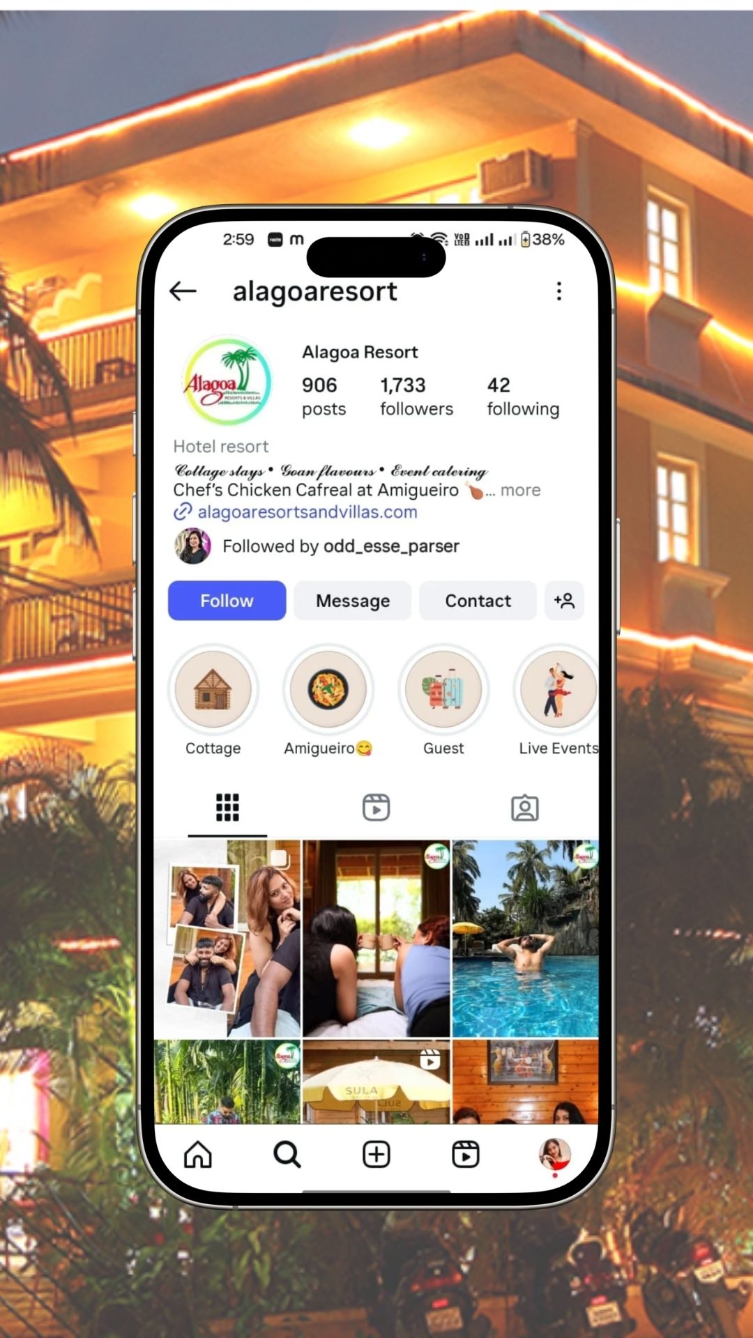 social media management